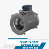 Quạt ly tâm hướng trục Quạt ly tâm hướng trục